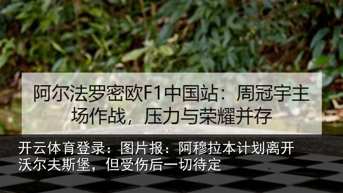 开云体育登录:图片报:阿穆拉本计相关情况,但受伤后一切待定