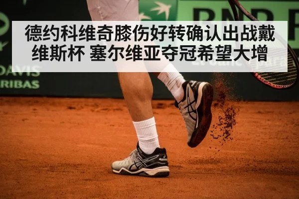 德约科维奇膝伤好转确认出战戴维斯杯 塞尔维亚夺冠希望大增